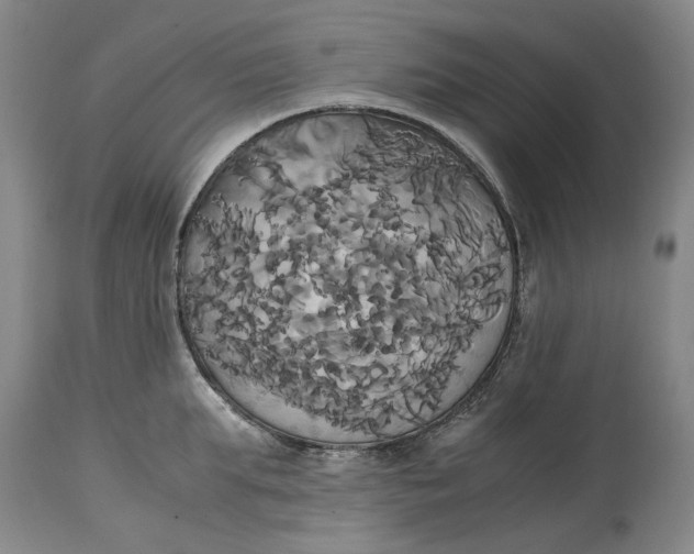 X0000114700903200911121537