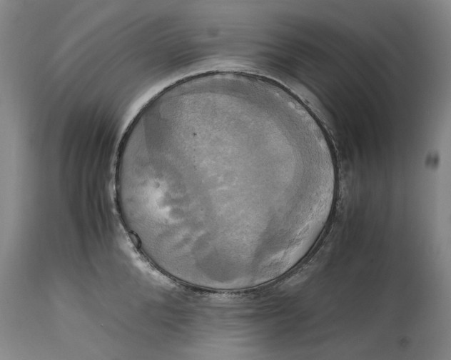 X0000114700904200911121537