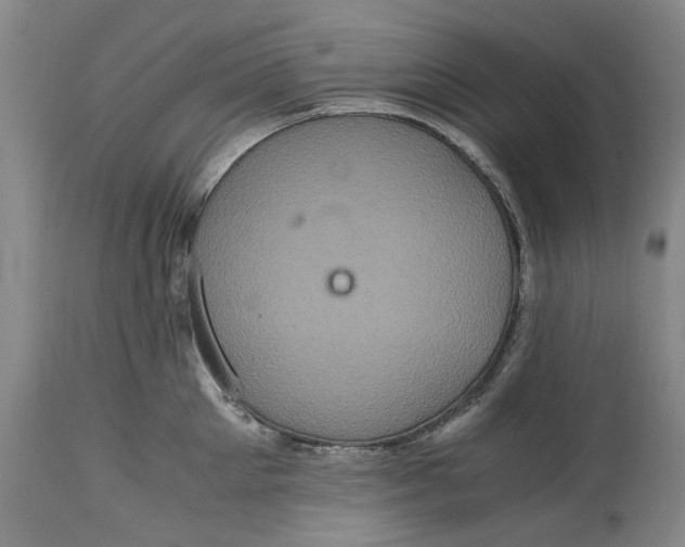 X0000114700905200911121537