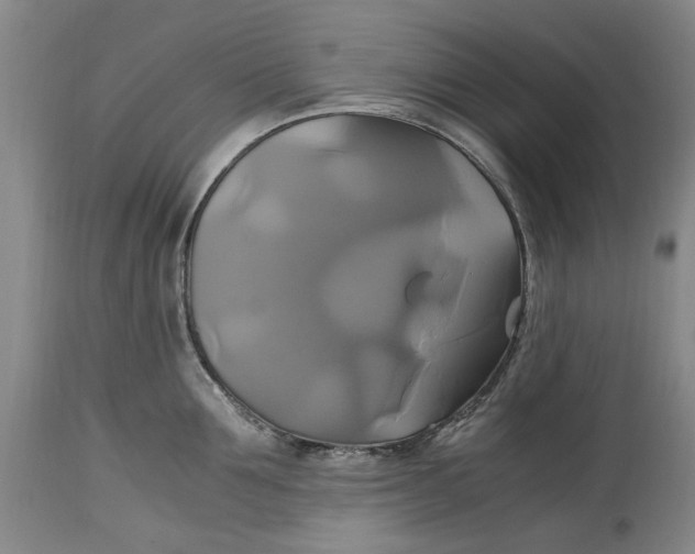 X0000114700907200911121537