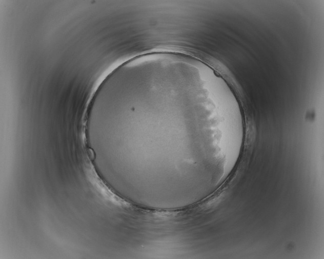 X0000114700908200911121537