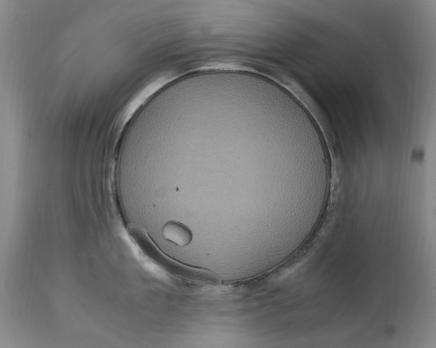 X0000114700909200911121537