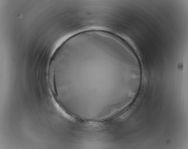 X0000114700910200911121537