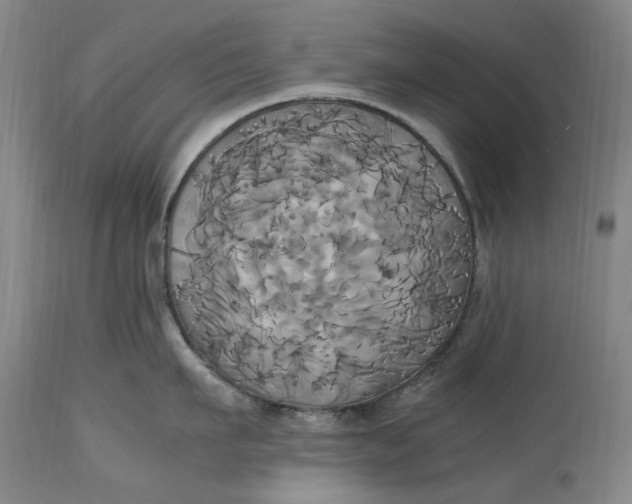 X0000114700911200911121537