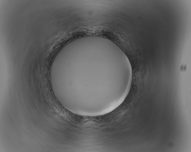 X0000114700913200911121537