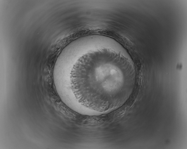 X0000114700917200911121537