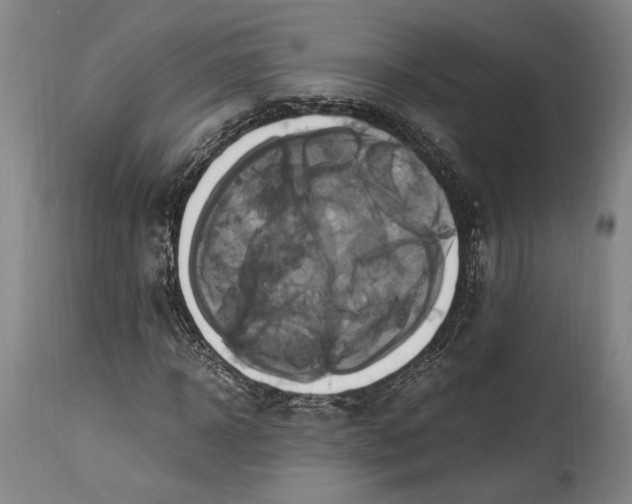 X0000114700918200911121537