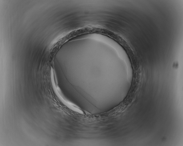 X0000114700919200911121537