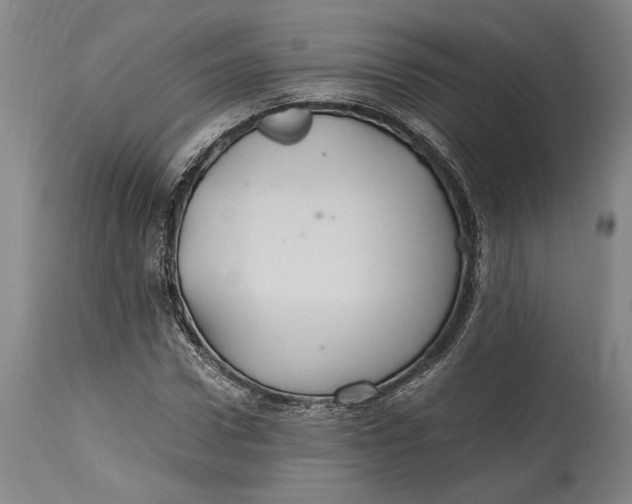 X0000114700922200911121537