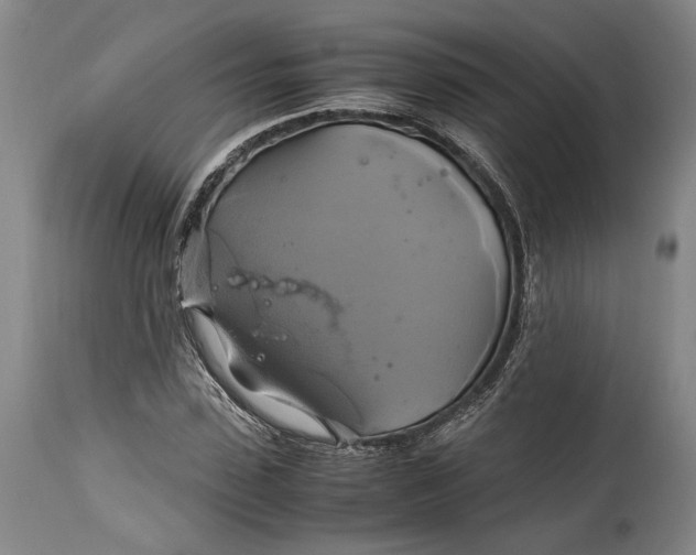 X0000114700923200911121537