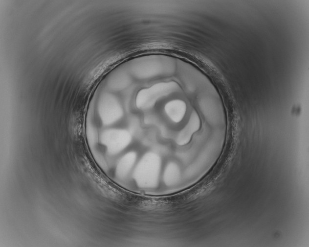 X0000114700929200911121537