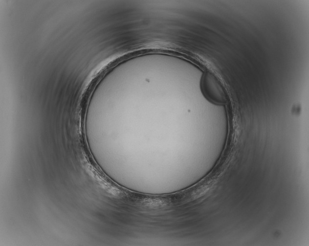 X0000114700931200911121537