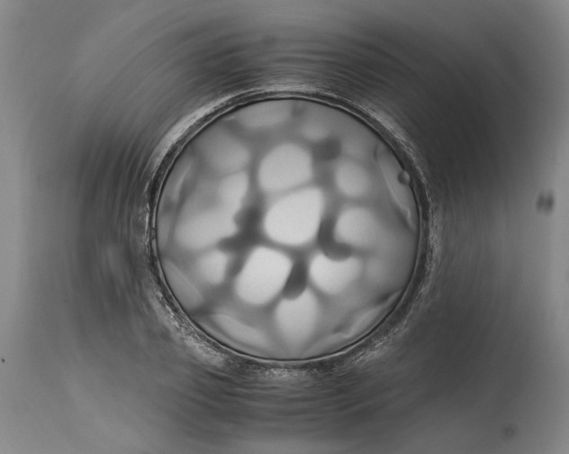 X0000114700933200911121537