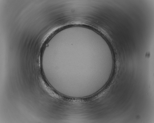 X0000114700934200911121537