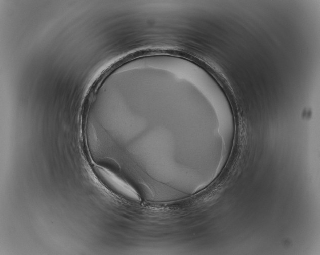 X0000114700935200911121537