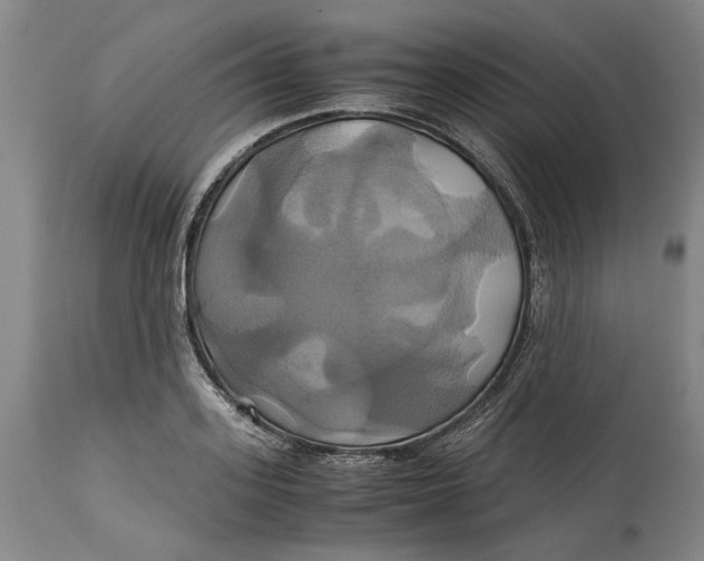 X0000114700939200911121537