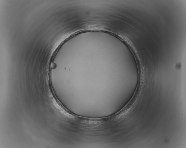 X0000114700941200911121537