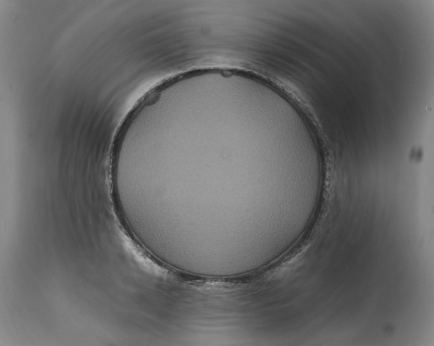 X0000114700942200911121537