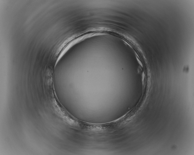 X0000114700945200911121537