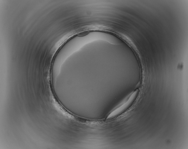 X0000114700946200911121537