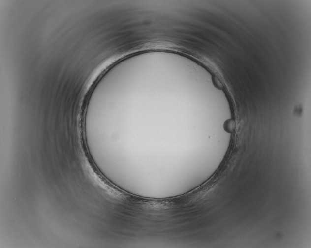 X0000114700947200911121537