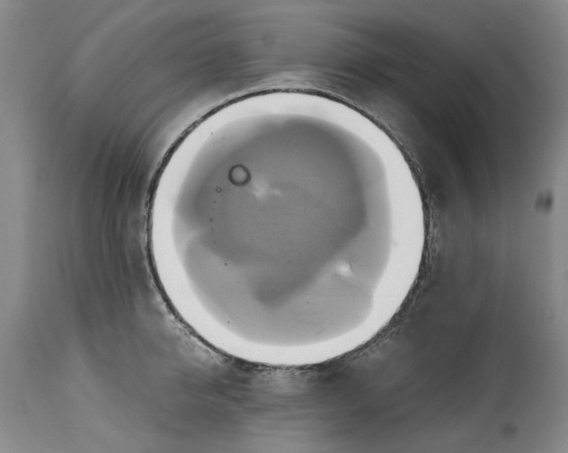 X0000114700950200911121537