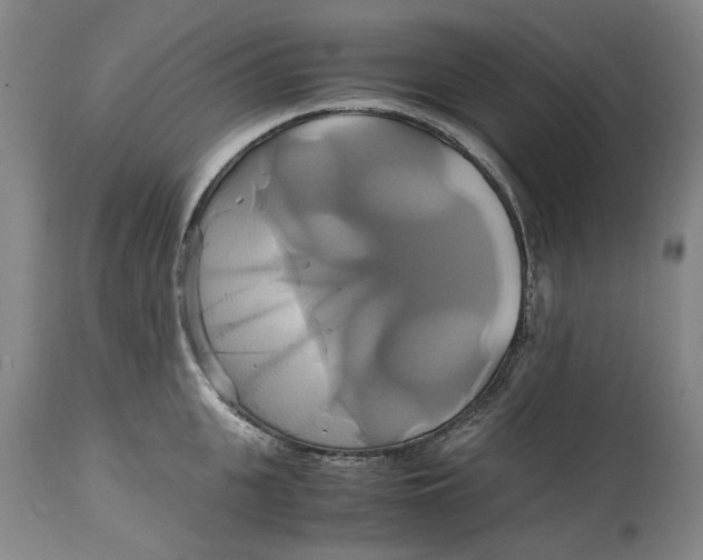 X0000114700951200911121537