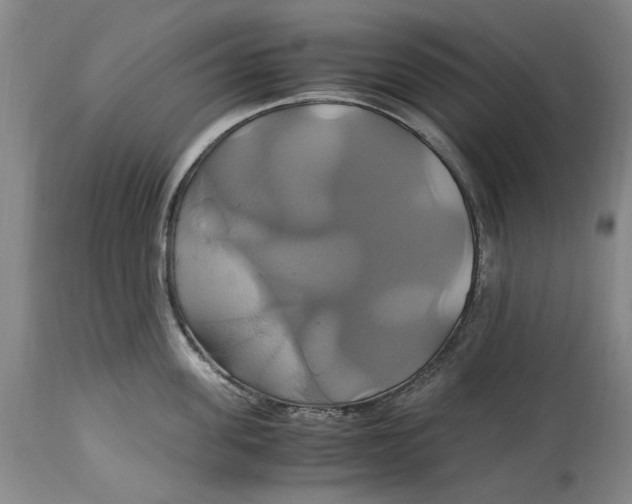 X0000114700955200911121537