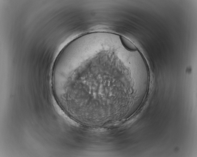 X0000114700957200911121537