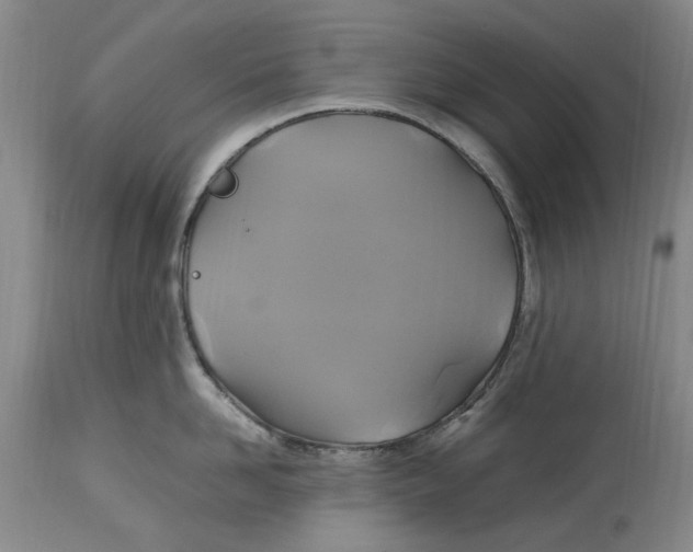 X0000114700958200911121537