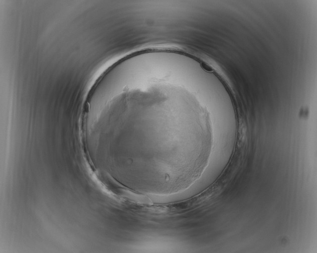 X0000114700959200911121537