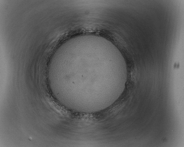 X0000114700961200911121537