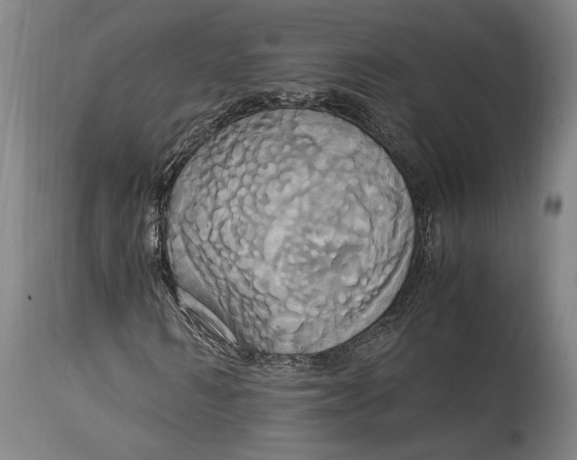 X0000114700962200911121537