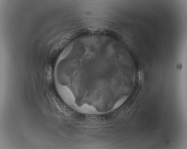 X0000114700963200911121537