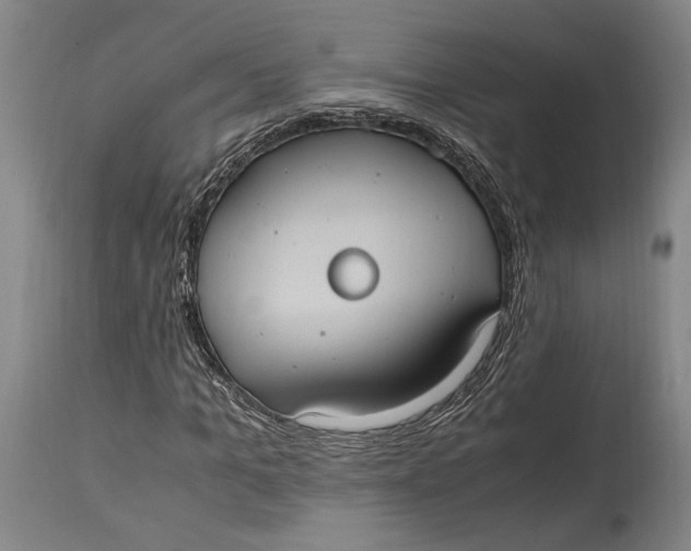 X0000114700965200911121537