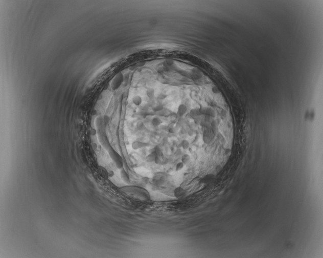 X0000114700967200911121537