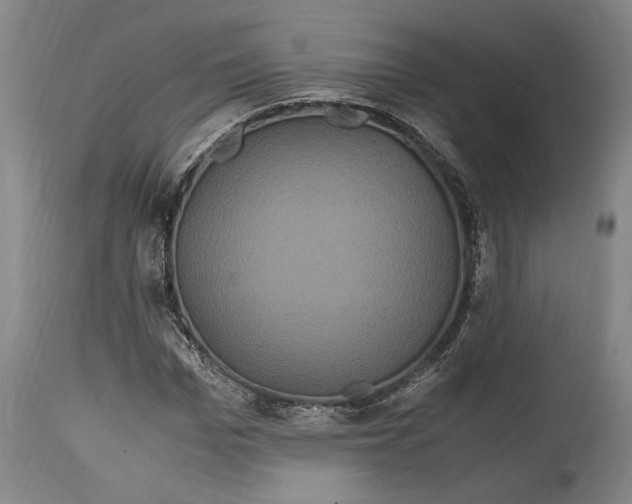 X0000114700969200911121537