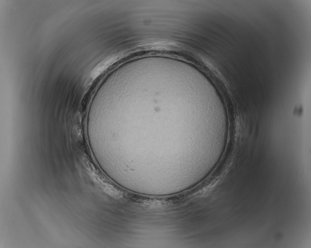 X0000114700970200911121537