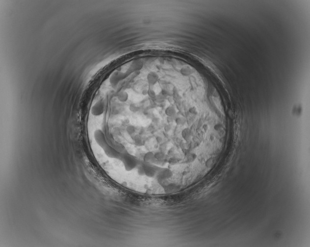 X0000114700971200911121537