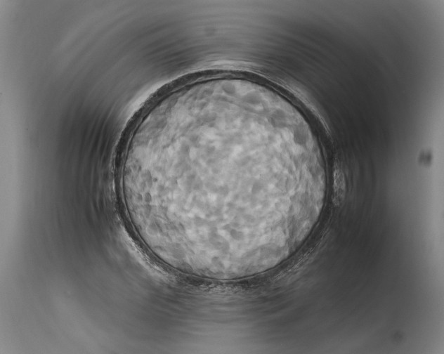 X0000114700972200911121537