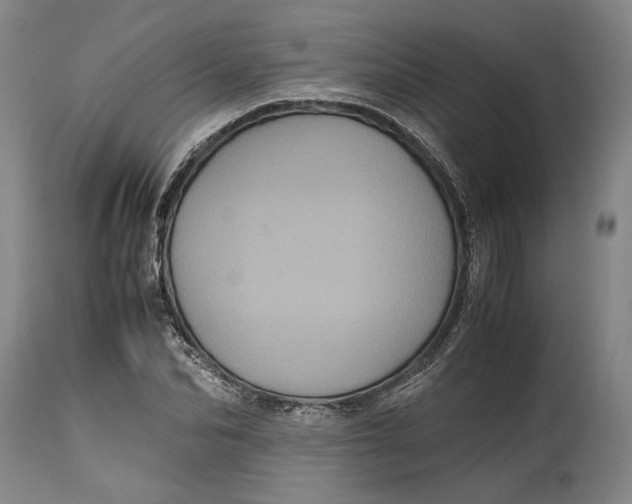 X0000114700974200911121536