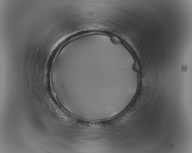 X0000114700975200911121536