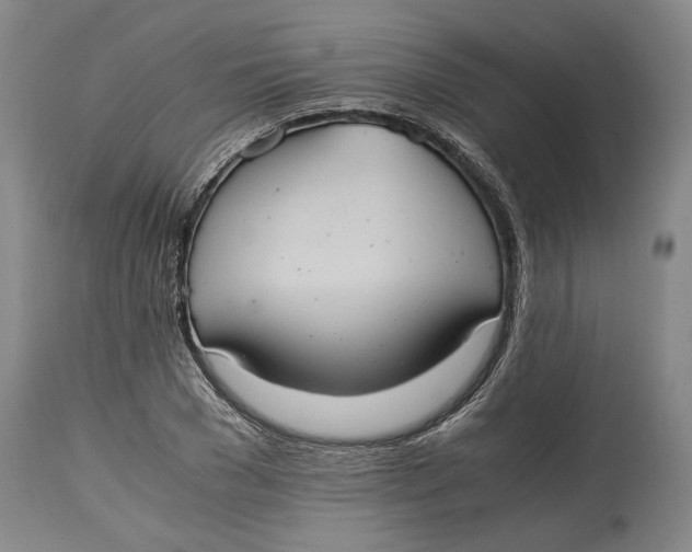 X0000114700977200911121536