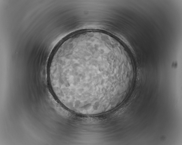 X0000114700980200911121536