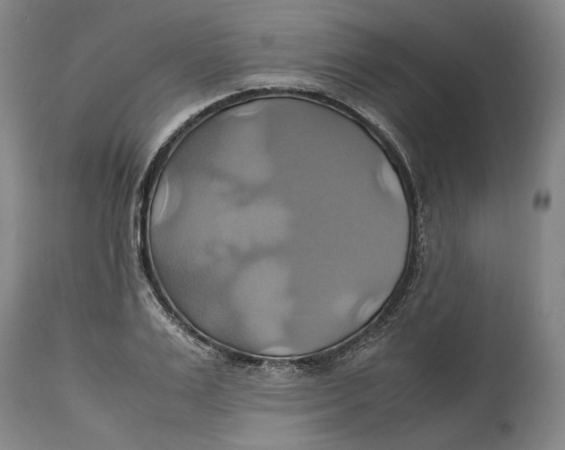 X0000114700983200911121536