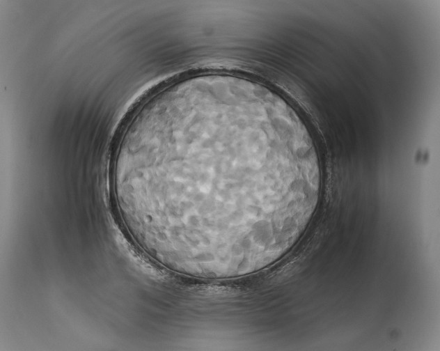 X0000114700984200911121536