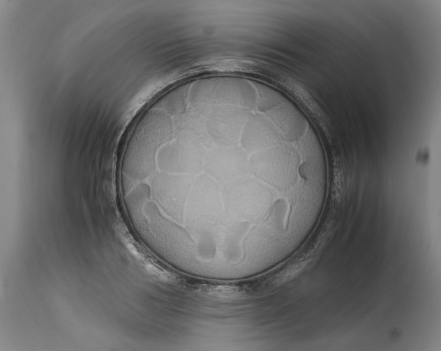 X0000114700986200911121536