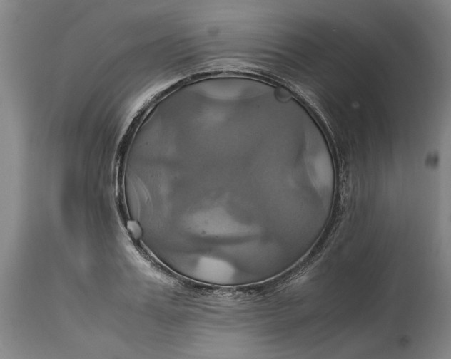 X0000114700987200911121536