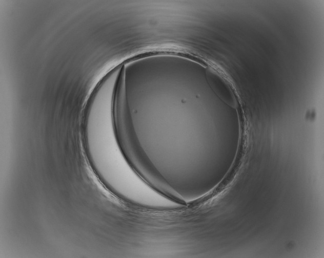 X0000114700989200911121536