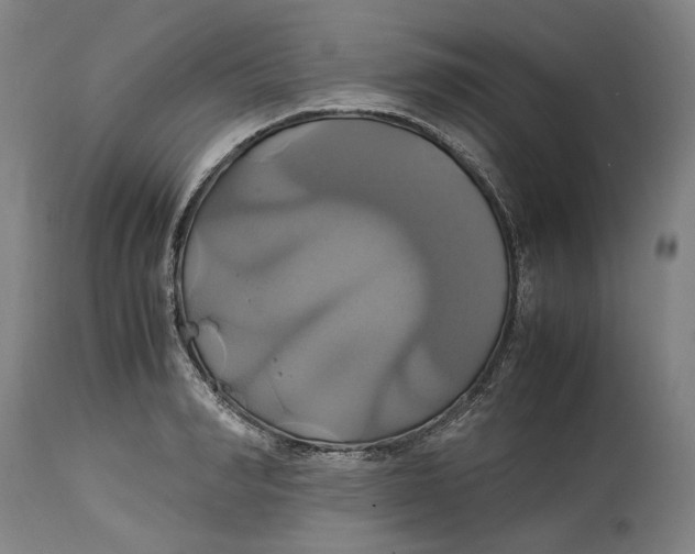 X0000114700990200911121536